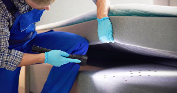 Best Termite Control Services  in Shenorock, NY