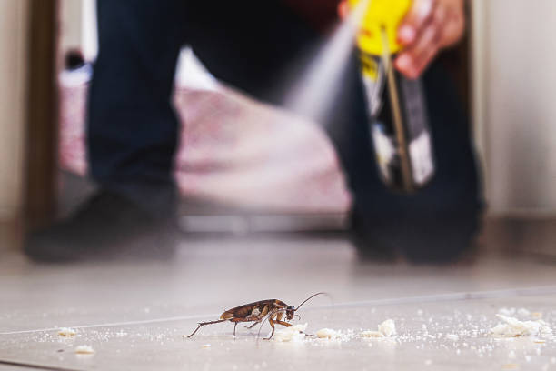 Best Pest Removal Services  in Shenorock, NY