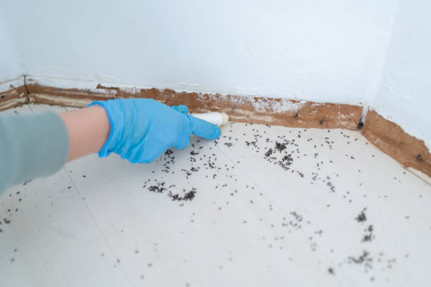 Best Commercial Pest Control Services  in Shenorock, NY